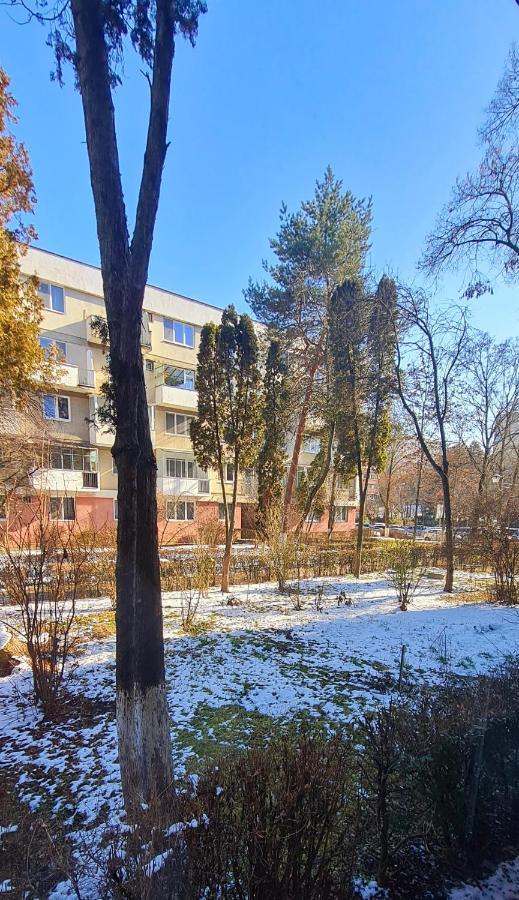 קלוז'-נאפוקה Larisa Apartment מראה חיצוני תמונה